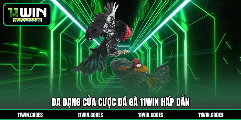 Đa dạng cửa cược đá gà 11WIN hấp dẫn