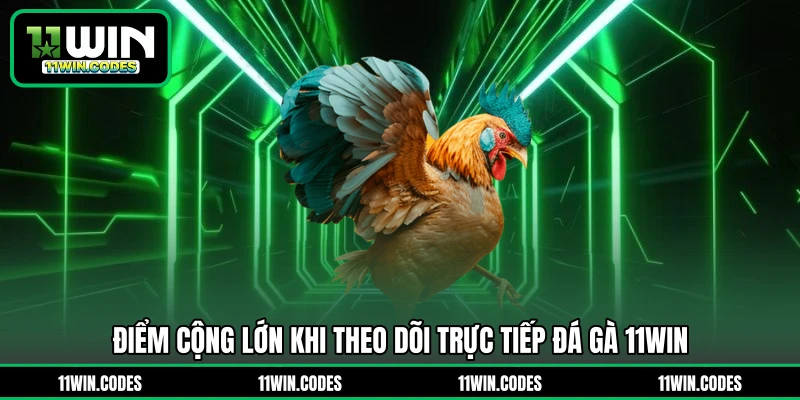 Điểm cộng lớn khi theo dõi trực tiếp đá gà 11WIN